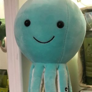 Grote_octopus - Copy